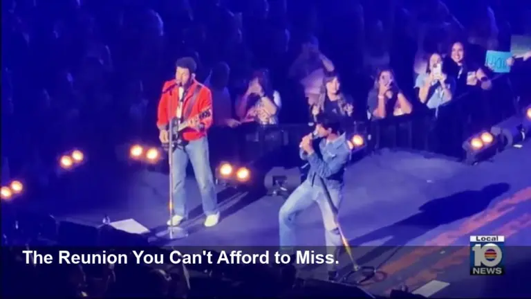 Jonas Brothers: Fans Say You Missed Everything
