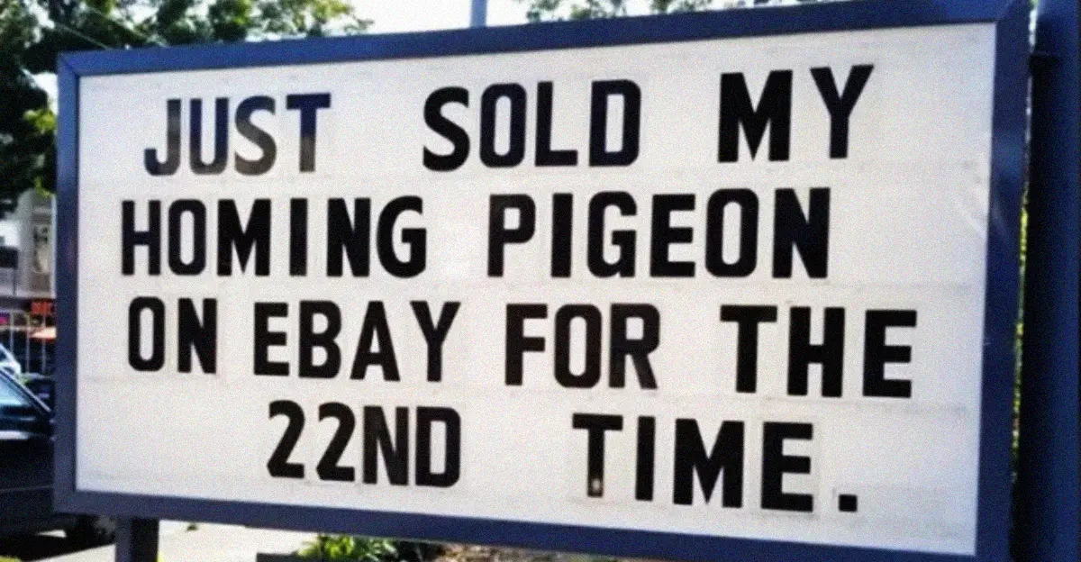 Internet Loses It Over These 20 Hilarious Signs
