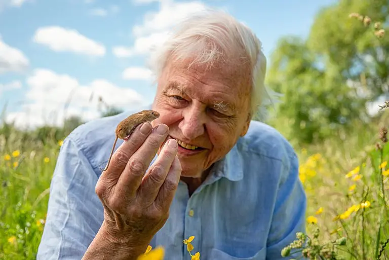 Attenborough's 'Wild London': The Secrets He's Unveiling