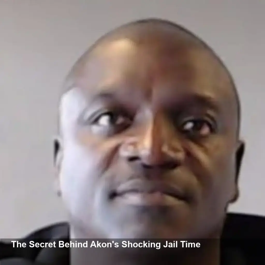 Akon Arrested in Georgia, Released Hours Later