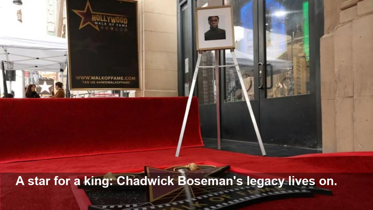 Chadwick Boseman Gets Posthumous Star on Walk of Fame
