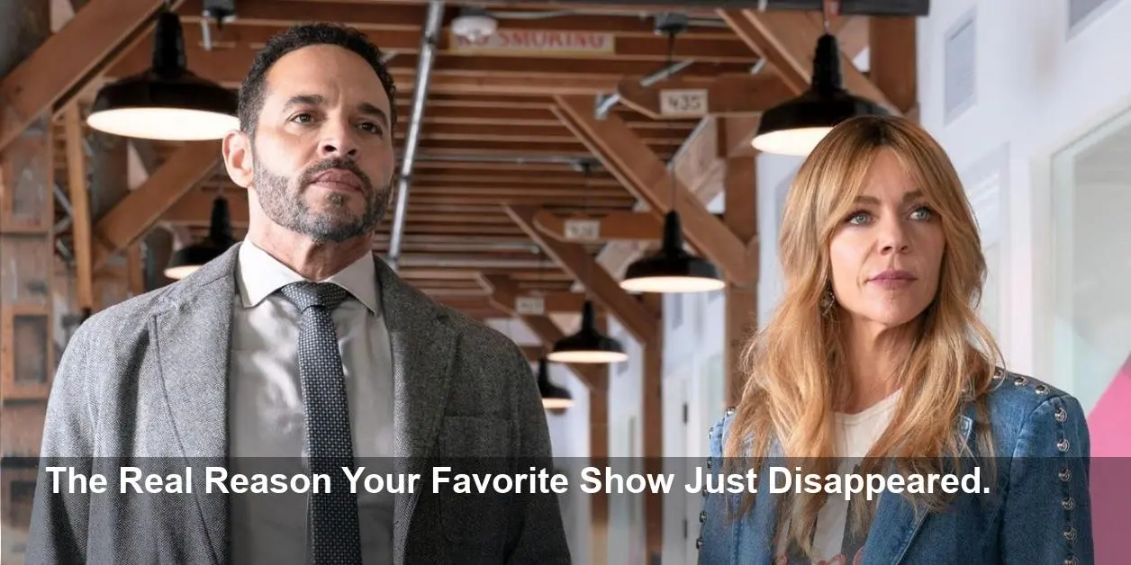 High Potential Fans Face Crushing Hiatus News