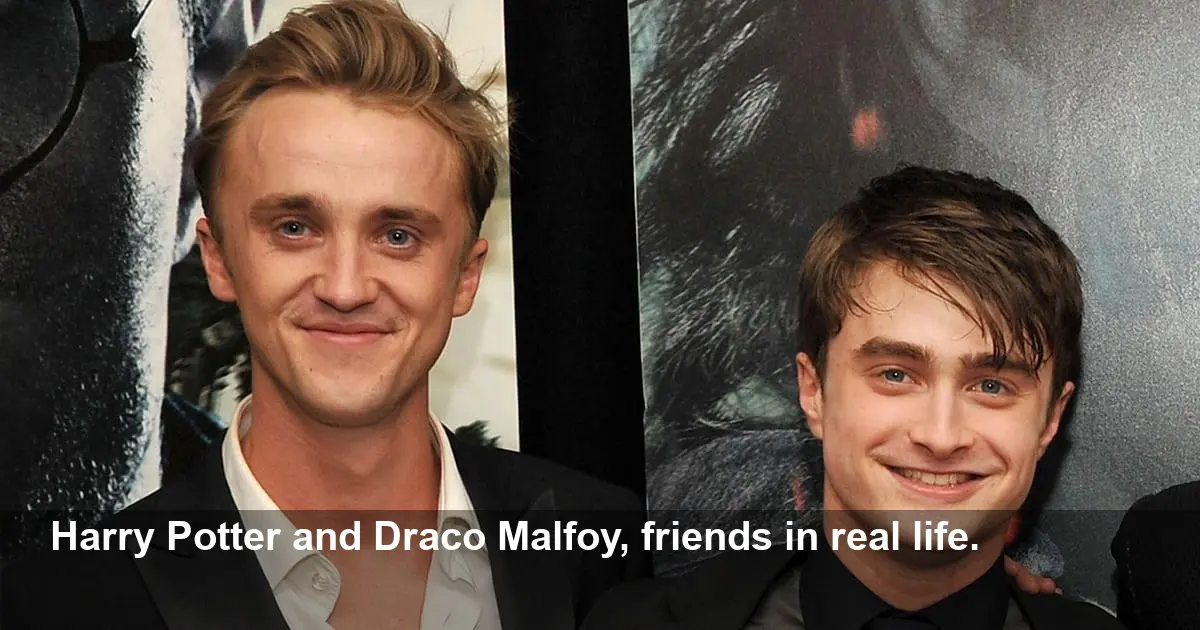 Harry Potter’s Harry and Draco Reunite in New York City