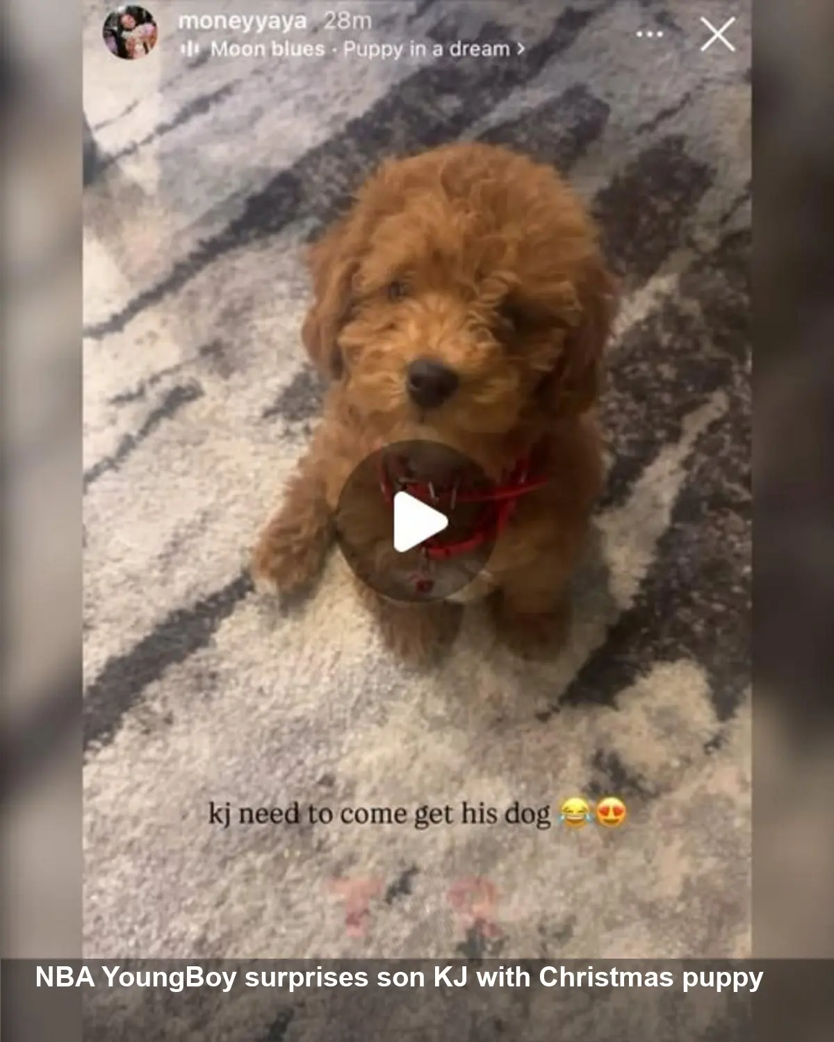 NBA YoungBoy Gifts Son KJ a Christmas Puppy