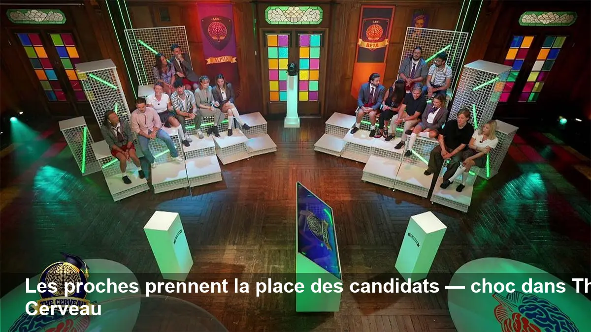 The Cerveau (W9) : les proches jouent et tout bascule